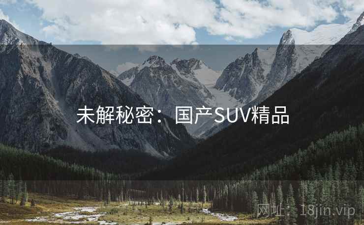 未解秘密：国产SUV精品