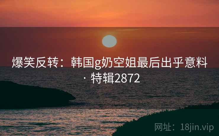 爆笑反转:韩国g奶空姐最后出乎意料 · 特辑2872