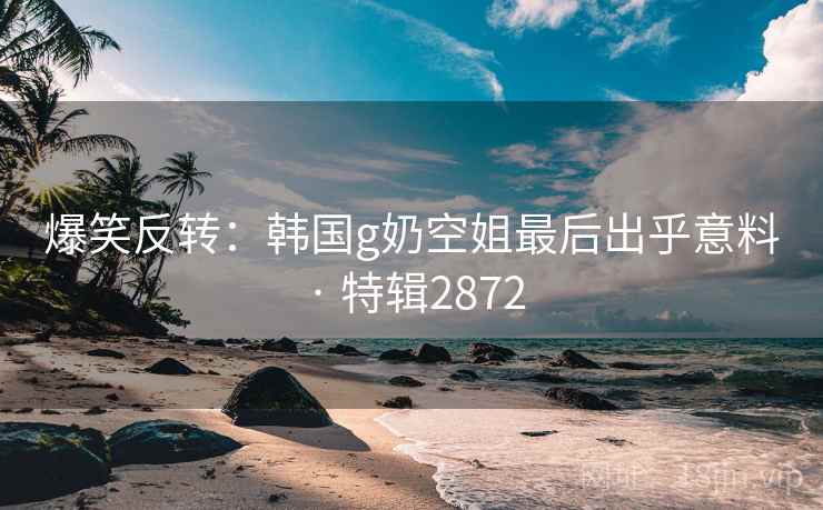 爆笑反转:韩国g奶空姐最后出乎意料 · 特辑2872